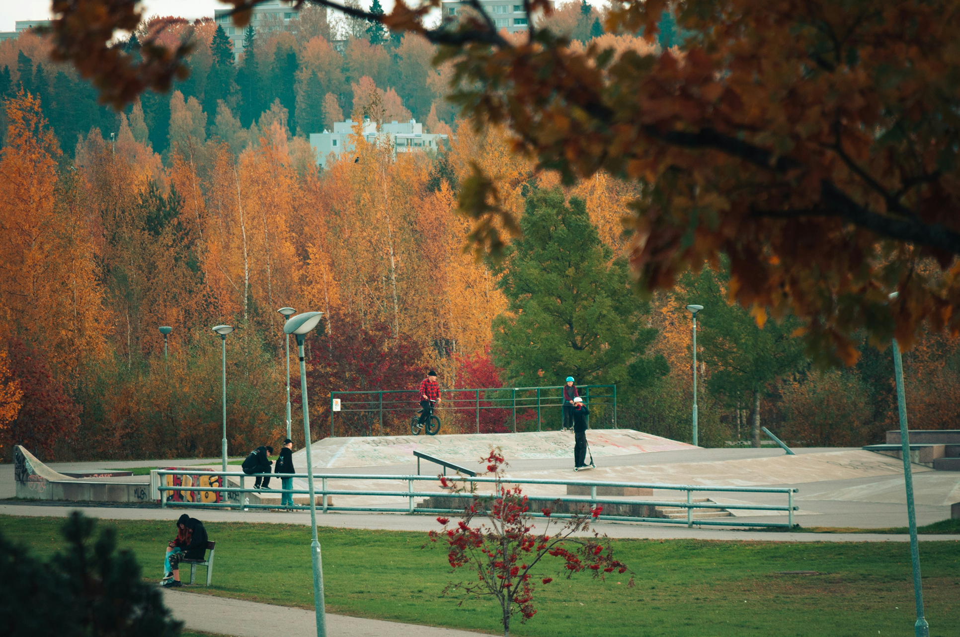 Skatepark in autumn